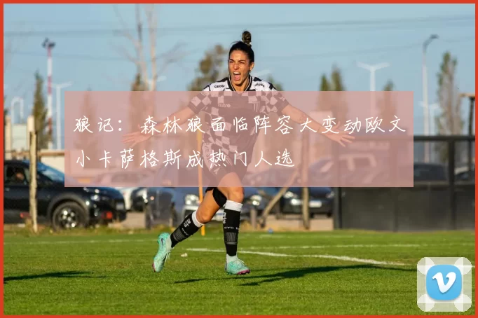狼记：森林狼面临阵容大变动欧文小卡萨格斯成热门人选
